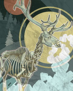Skeletal Stag